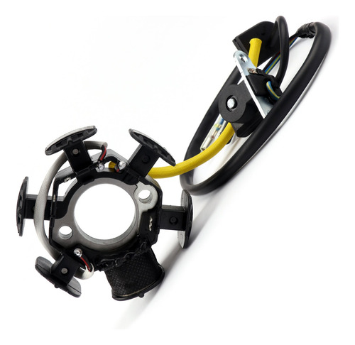 Bobina De Estator Generador Para Honda Xr80r 92-03 Crf80f 04