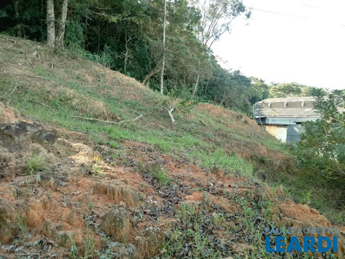 Imagem 15 de 15 de Galpão - Estiva - Sp - 584900