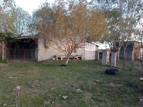 Imagen 4 de 10 de Venta De Campo 4 Has, Villa Nueva, Canelones