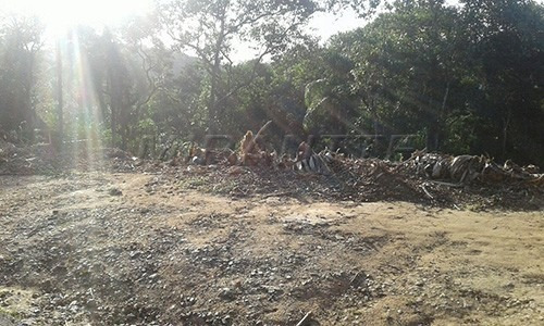 Imagem 2 de 3 de Terreno Em Serra Da Cantareira - São Paulo, Sp - 121012