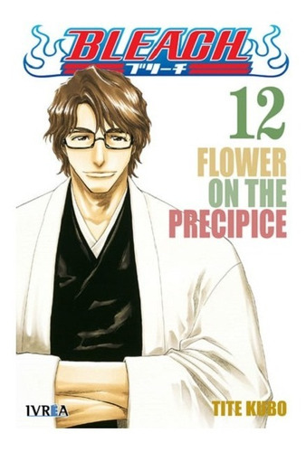 Bleach 12  Flower On The Precipice  Vol. 12 (ivrea)