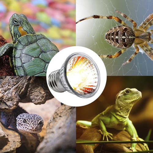 Lâmpada Aquecimento Terrário Uva Uvb 3.0 Para Répteis
