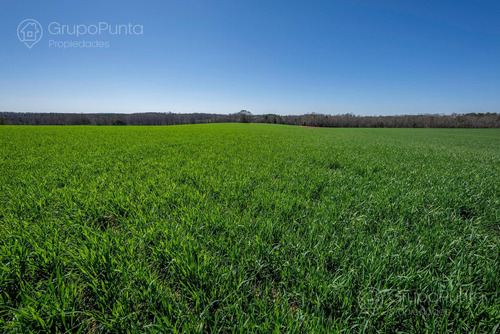 Campo En Venta - Rocha