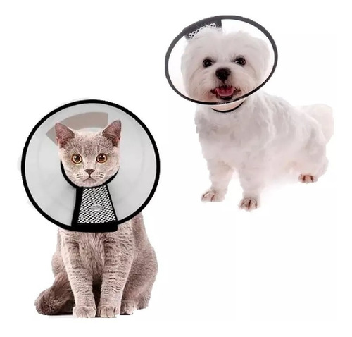 Collar Isabelino Mascota Perro Y Gato 46cm Hamelin 