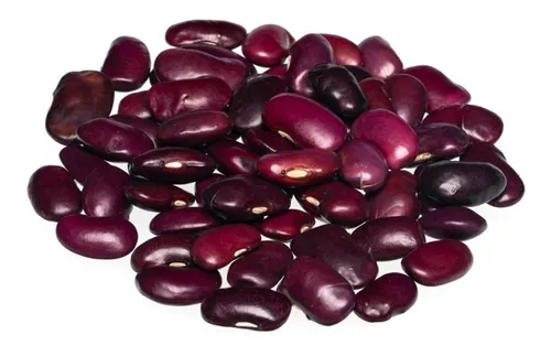 comprar 1 Kg De Frijol Ayocote Morado Primera Calidad