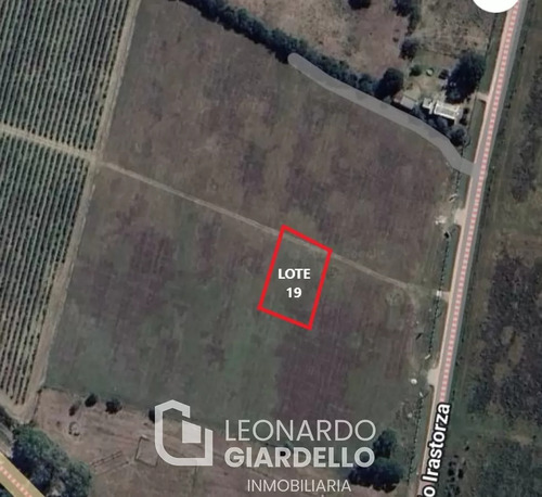 Venta - Terreno - Lote 19 - Carmelo - Barrio Viñas De Carmelo