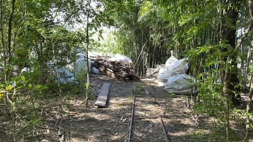 Imagen 6 de 6 de Lote En Canal Del Este - Islas Del Delta - Tigre