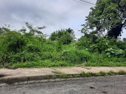 Imagem 2 de 6 de Terreno Com Escritura Em Mongaguá - 705