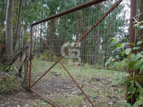 Parcela De Agrado Con Plantación De Eucaliptus | Osorno