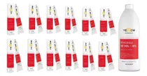 Comprar Kit 12 Tinturas Yellow Alfaparf + Oxidante 30 Vol Yellow