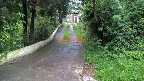 Imagem 14 de 15 de Chácara À Venda, Caputera, Cotia/sp - 3134