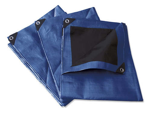 Lona De Polietileno Reforzada Color Azul 2 X 3 M Surtek
