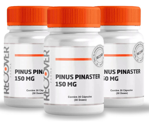 Pinus Pinaster - Kit Com 3 Unidades