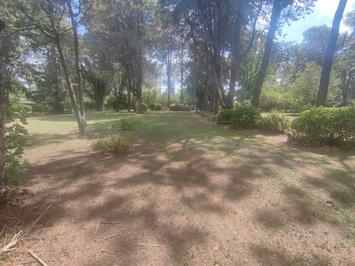 Imagen 10 de 30 de Hermosa Quinta Con Mucha Arboleda Añeja