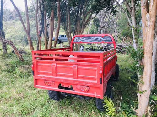 Imagen 2 de 8 de Cuatrimoto Trabajo Agricola Tolva Zongshen 300cc Para Campo