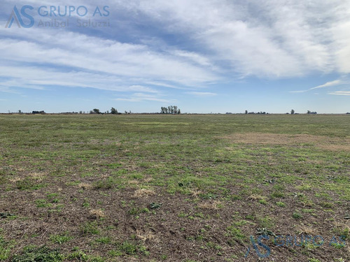 Excelente Campo Agricola De 62,73 Has.
