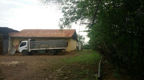 Imagen 2 de 14 de Finca En Venta En San Jose De Guaribe