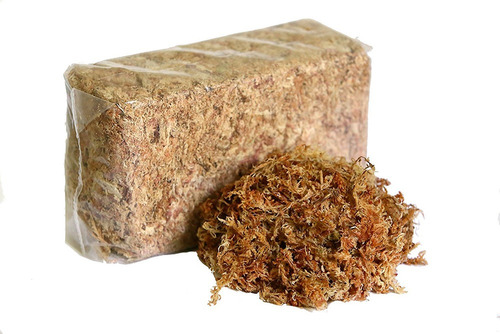 Sphagnum 5 Kilo