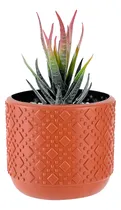 Comprar Maceta Decorativa Macetero Circular L53