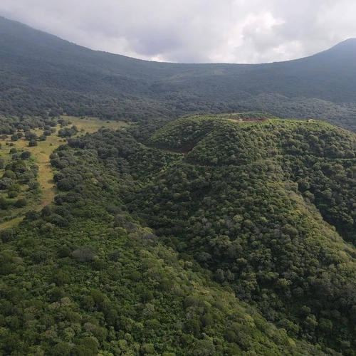 Terreno En Desarrollo Natural Madre Tierra - Teuchitlan Jalisco