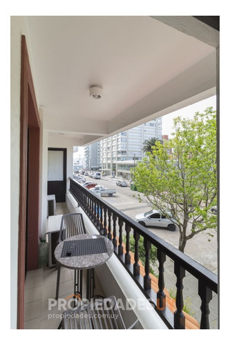 Imagen 3 de 24 de Impecable Apartamento En Peninsula