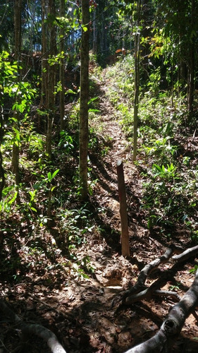Imagem 3 de 5 de Casa E Terrenos
