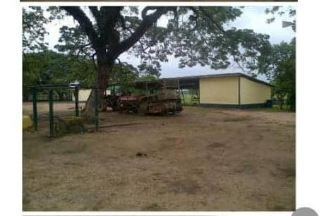 Imagen 2 de 13 de Hato En Calabozo, Edo. Guárico