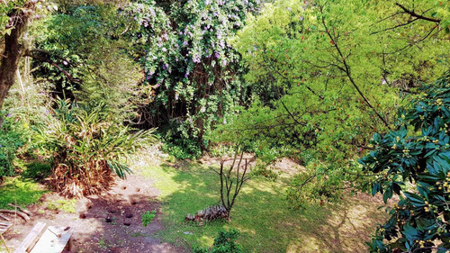 Imagen 22 de 30 de Tres Grandes Lotes En Venta Con Casa Y Pileta En San Isidro