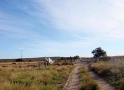 Imagen 3 de 12 de Campo - La Pampa. Caleu Caleu