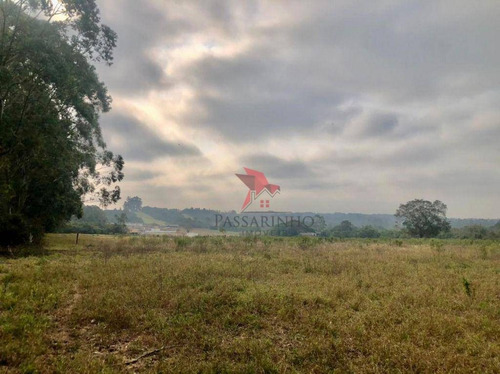 Imagem 2 de 5 de Chácara À Venda, 50000 M² Por R$ 1.570.000,00 - Faxinal - Torres/rs - Ch0065