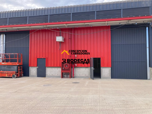 Arriendo Bodega Nueva De 400 M2 En Lo Espejo Con Ruta 5.