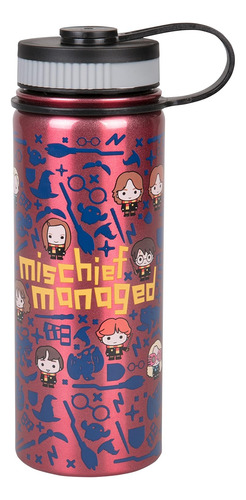 Harry Potter - Botella De Agua De Acero Inoxidable, 18.6 Fl
