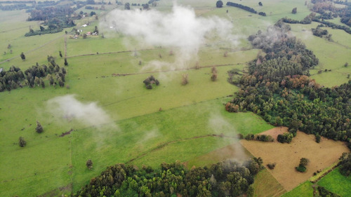 Sector Rupanquito Puyehue Región De Los Lagos