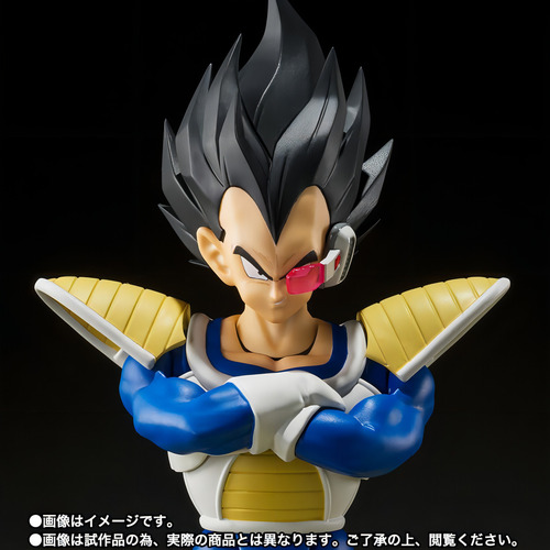 Bandai Sh Figuarts Dbz Vegeta Namek 2400 Power Level