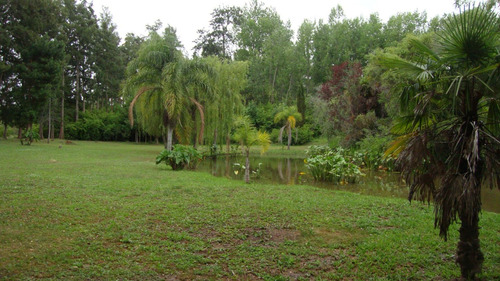 Imagen 4 de 14 de Quinta En El Delta Sobre El Río Carabelas