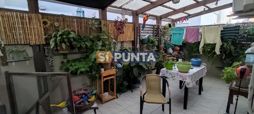 Imagen 8 de 12 de Casa Morada Aguilar