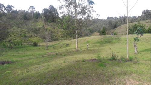 Lote En Venta En Rionegro, Sector Fontibon.