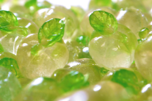 Gomitas Premium En Forma De Durazno 3d Gummies Bolsa 1 Kg