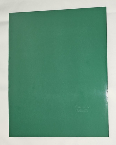 Fólder Laminado Verde Carta Dos Bolsillos Oxford 10 Pzas