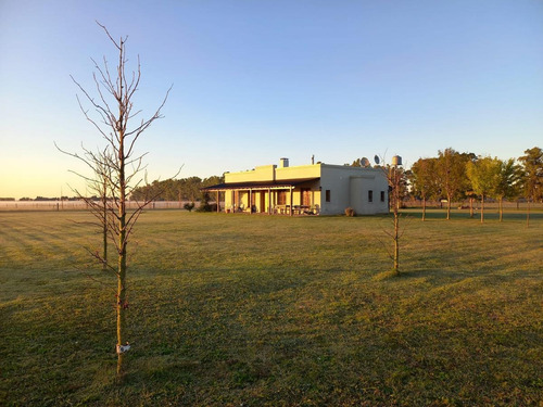 Imagen 5 de 21 de Chacra En Venta- Lobos