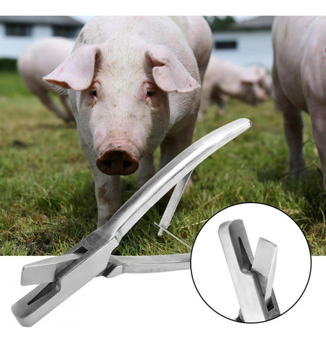 Aço Inoxidável Porco Tag Alicate Equipamento Porco Animais F