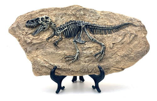 Estatua De Resina Dinosaurio Con Fósiles Decoración Hogar