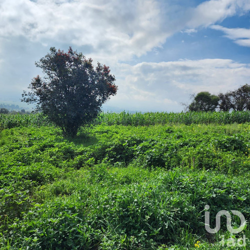 Venta Terreno 0 Ambiente San Antonio Zoyatzingo