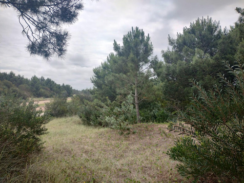 Lote En Venta En Costa Esmeralda, Barrio Golf 2, Al 600