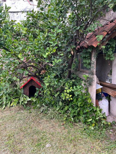 Casa Apta Crédito En Lote Propio Con Parque
