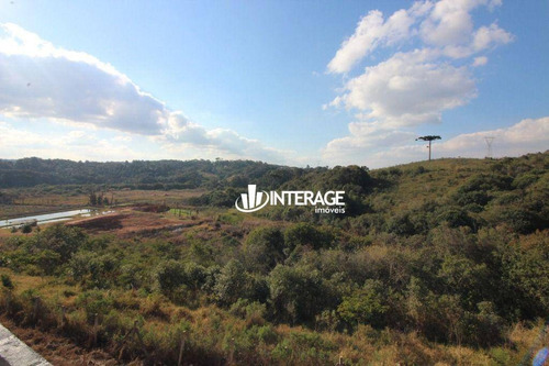 Imagem 5 de 25 de Terreno À Venda, 2335 M² Por R$ 472.900,00 - São Braz - Curitiba/pr - Te0350