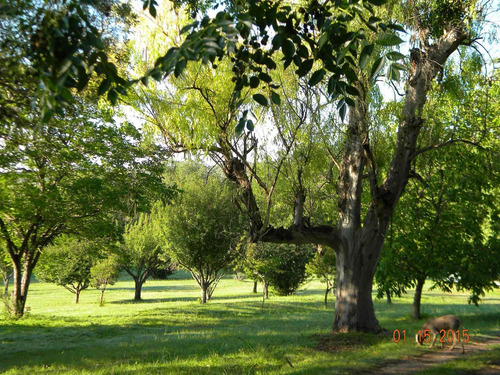 Imagen 12 de 30 de Se Venden 10 Ha En Valle Hermoso Con Servicios
