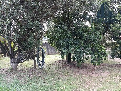 Imagem 18 de 20 de Chacara-para-venda-em-jardim-rosaura-jundiai-sp - 597