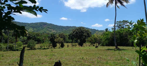 Vendo Terreno De 16,617.82 Metros, Ubicado En La Cuaba A 8 Km De La Autopista Duarte, Entrando Por La Bomba Nativa Que Está Ubicada En El Km 22 Autopista Duarte