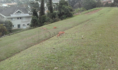 Imagem 9 de 9 de Terreno Residencial Condominio - Tambore - Ref: 67216 - V-67216